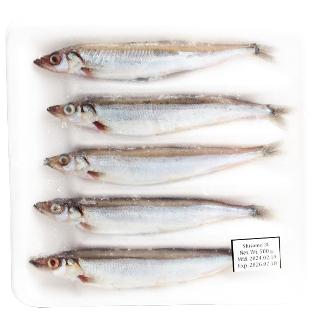 ปลาไข่ 51/60 - SHISAMO/CAPELIN FISH (FEMALE)