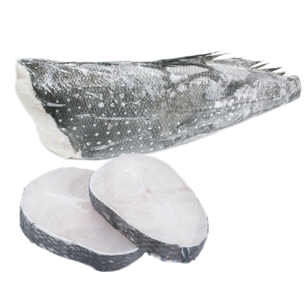 ปลาหิมะ - SNOW FISH 4/6