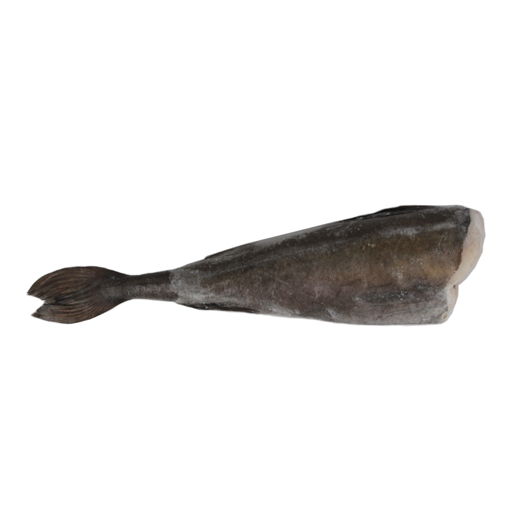 ปลาจินดาระทั้งตัวตัดหัว - ROZEN BLACK COD (GINDARA) DRESS